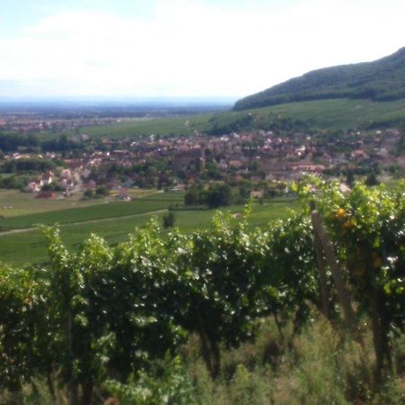 Gites & Chambes D'Hotes Fugler Orschwihr ภายนอก รูปภาพ