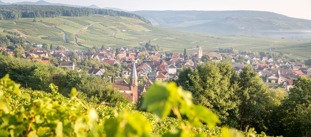 Gites & Chambes D'Hotes Fugler Orschwihr ภายนอก รูปภาพ